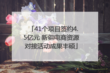 41个项目签约4.5亿元 新疆电商资源对接活动成果丰硕